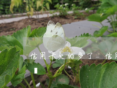 信用卡欠的多了-信用卡欠的多了怎么還合適