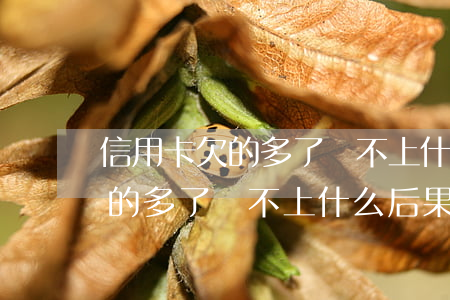 信用卡欠的多了還不上什么后果-信用卡欠的多了還不上什么后果呢