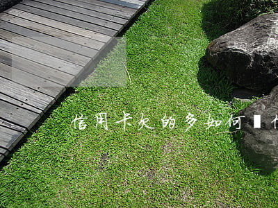 信用卡欠的多如何還 信用卡欠的多如何還