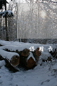 信用卡欠的多怎么办(信用卡欠的多怎么办啊)