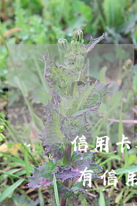 信用卡欠的多房貸能貸下來嗎(有銀行貸款還有信用卡欠款可以辦理房貸嗎)