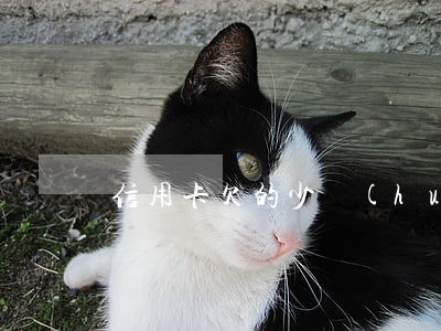 信用卡欠的少會(huì)上門嗎