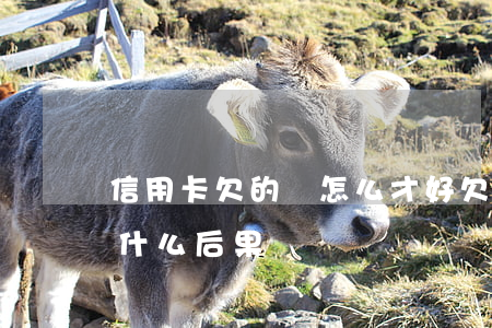 信用卡欠的錢怎么才好(欠信用卡的錢不還有什么后果)