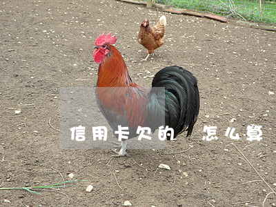 信用卡欠的錢怎么算