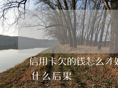 信用卡欠的钱怎么才好(欠信用卡的钱不还有什么后果)