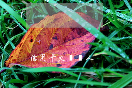 信用卡欠給別人