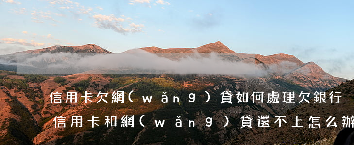 信用卡欠網(wǎng)貸如何處理(欠銀行信用卡和網(wǎng)貸還不上怎么辦)