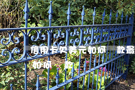 信用卡欠美元如何還款最劃算（信用卡欠美元如何還款）