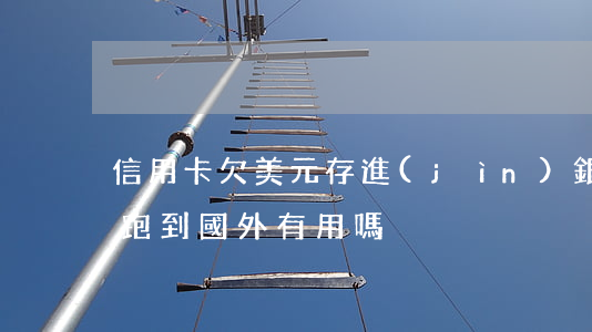 信用卡欠美元存進(jìn)銀行(欠信用卡跑到國外有用嗎)