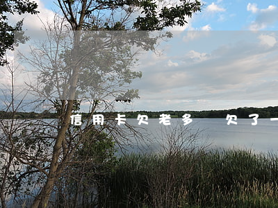 信用卡欠老多錢 欠了一堆信用卡