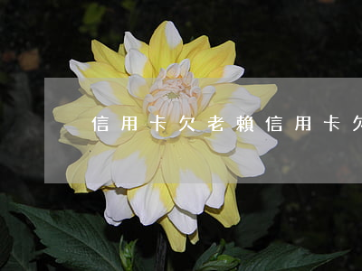 信用卡欠 老賴（信用卡欠 老賴）