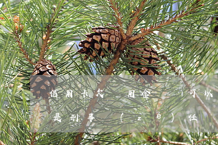 信用卡欠萬用金貸還可以嗎(欠信用卡萬用金是刑事責(zé)任)