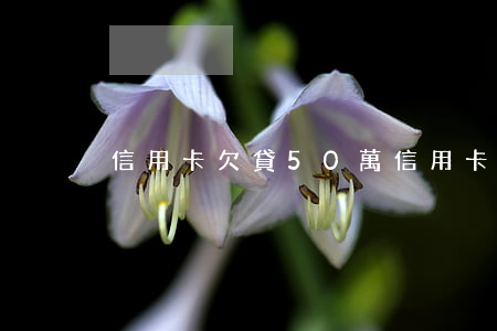信用卡欠貸50萬(信用卡欠貸50萬)
