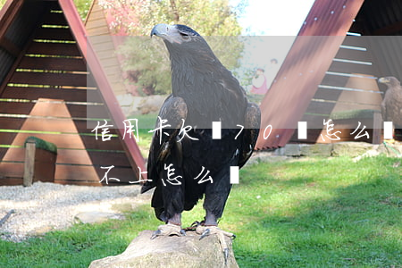 信用卡欠貸70萬怎么辦(欠信用卡70萬還不上怎么辦)