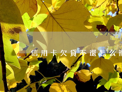 信用卡欠貸不還怎么辦