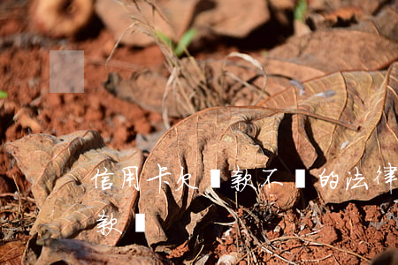信用卡欠貸款不還的法律(信用卡欠款還能貸款嗎)