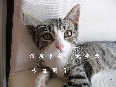 信用卡欠貸逾期未還結(jié)果(欠信用卡逾期了)