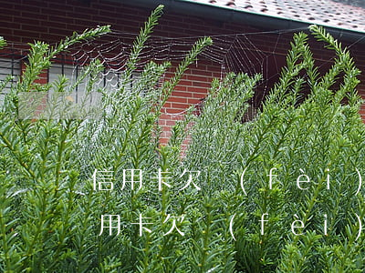 信用卡欠費(fèi)1毛錢算不算逾期(信用卡欠費(fèi)1毛錢算不算逾期)
