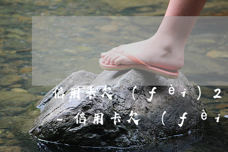 信用卡欠費(fèi)20w逾期如何處理-信用卡欠費(fèi)20w逾期如何處理好
