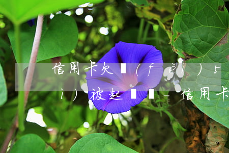 信用卡欠費(fèi)5600元會(huì)被起訴嗎-信用卡欠費(fèi)5600元會(huì)被起訴嗎知乎
