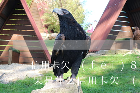 信用卡欠費(fèi)8000元逾期的后果是什么（信用卡欠費(fèi)8000元逾期的后果）