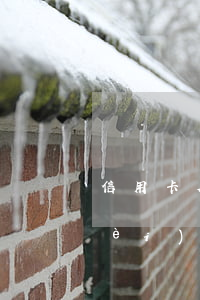 信用卡欠費(fèi)不還(信用卡欠費(fèi)不還會(huì)如何處理)