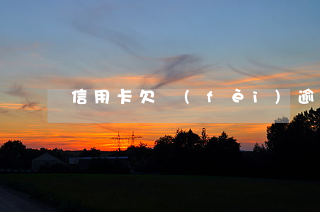 信用卡欠費(fèi)逾期利息怎樣算