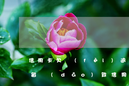 信用卡欠費(fèi)逾期可以申訴嗎(因拘留導(dǎo)致信用卡逾期可以申訴嗎)