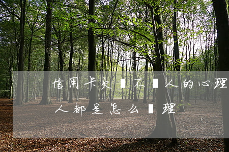 信用卡欠賬不還人的心理(欠信用卡還不起的人都是怎么處理)
