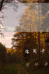 信用卡欠賬可以一直不還嗎(欠信用卡永遠(yuǎn)不還)