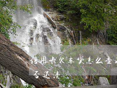 信用卡欠车贷怎么查询(怎么查信用卡车贷是否还清)