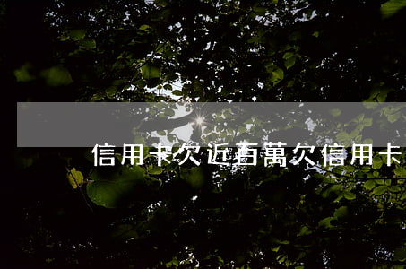 信用卡欠近百萬(欠信用卡100萬怎么辦)