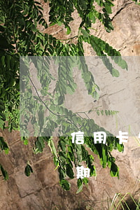 信用卡欠違約金怎么算(2021年信用卡逾期違約金怎么算)