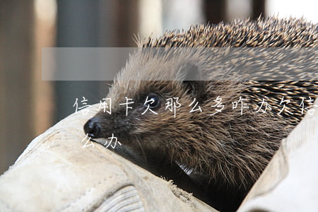 信用卡欠那么多咋办(欠信用卡太多还不起怎么办)