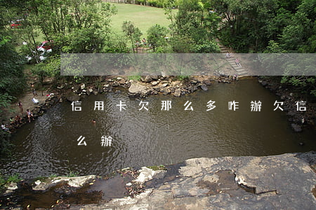 信用卡欠那么多咋辦(欠信用卡太多還不起怎么辦)