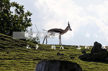 信用卡欠那么多錢的人該怎么辦(信用卡欠那么多錢的人該怎么辦理)