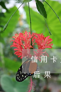 信用卡欠銀行很多錢(信用卡欠銀行錢不還的后果)