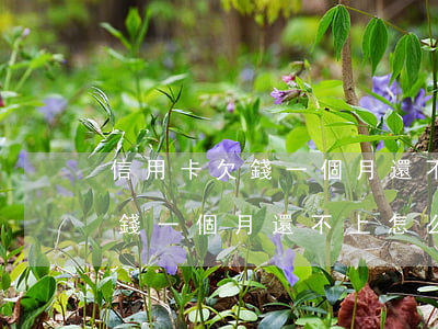 信用卡欠錢一個月還不上怎么辦-信用卡欠錢一個月還不上怎么辦呢