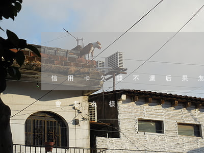 信用卡欠錢不還后果怎么樣(欠信用卡不還了會怎么樣)