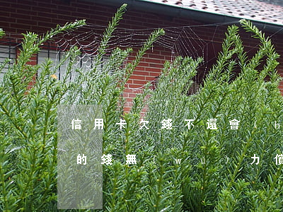 信用卡欠錢不還會(huì)家屬(欠信用卡的錢無(wú)力償還會(huì)不會(huì)牽連家里人)