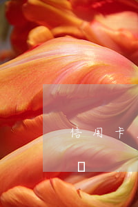 信用卡欠錢不還會怎樣(信用卡欠錢不還會怎樣)