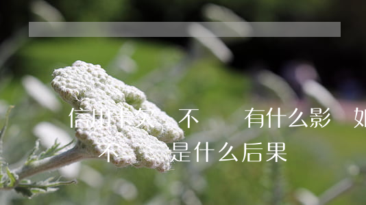 信用卡欠錢不還會有什么影響(如果欠信用卡錢不還會是什么后果)
