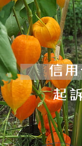 信用卡欠錢不還會被通緝嗎(欠信用卡被銀行起訴,會被通緝嗎?)