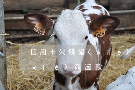 信用卡欠錢協(xié)商(信用卡欠錢協(xié)商還款)