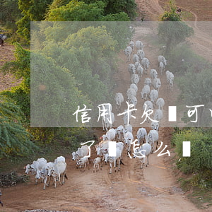 信用卡欠錢可以不還嗎(如果信用卡不欠款還了錢怎么樣)