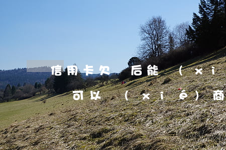 信用卡欠錢后能協(xié)商嗎(欠信用卡錢可以協(xié)商慢慢還嗎)