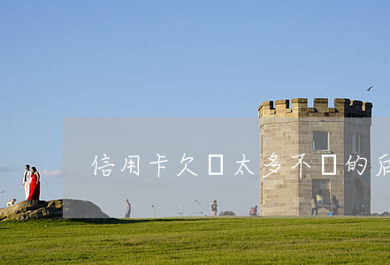 信用卡欠錢太多不還的后果(信用卡 欠錢不還)