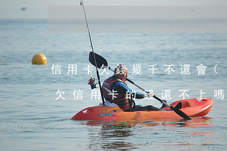 信用卡欠錢幾千不還會(huì)怎樣(有人欠信用卡的錢還不上嗎)