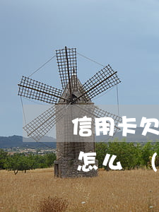 信用卡欠錢怎么協(xié)商(信用卡欠錢怎么協(xié)商分期還款)