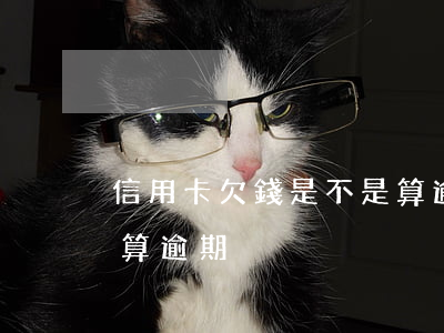 信用卡欠錢是不是算逾期(信用卡欠錢是不是算逾期)